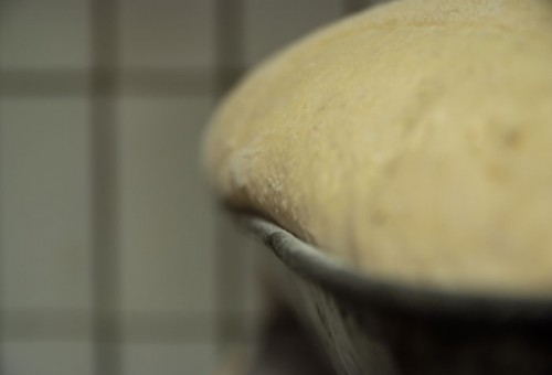 Fotos aus der Backstube